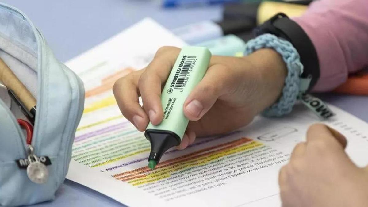 Una alumna de 5º de primaria repasa unos apuntes en clase.