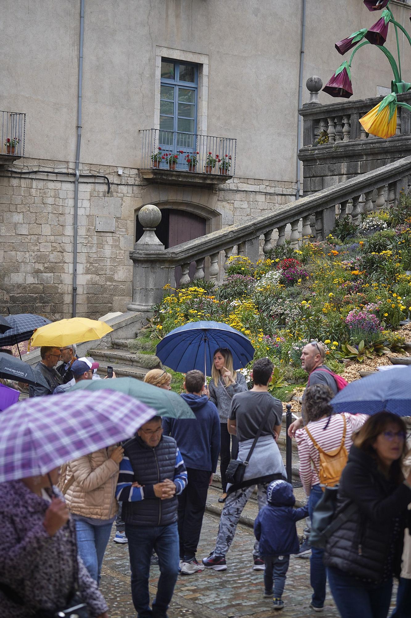 L'últim dia de Temps de Flors en imatges