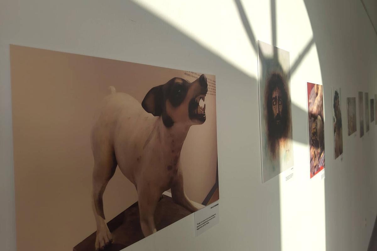 Exposición fotográfica 'Detalles de Pasión', en el Cementerio de San Miguel
