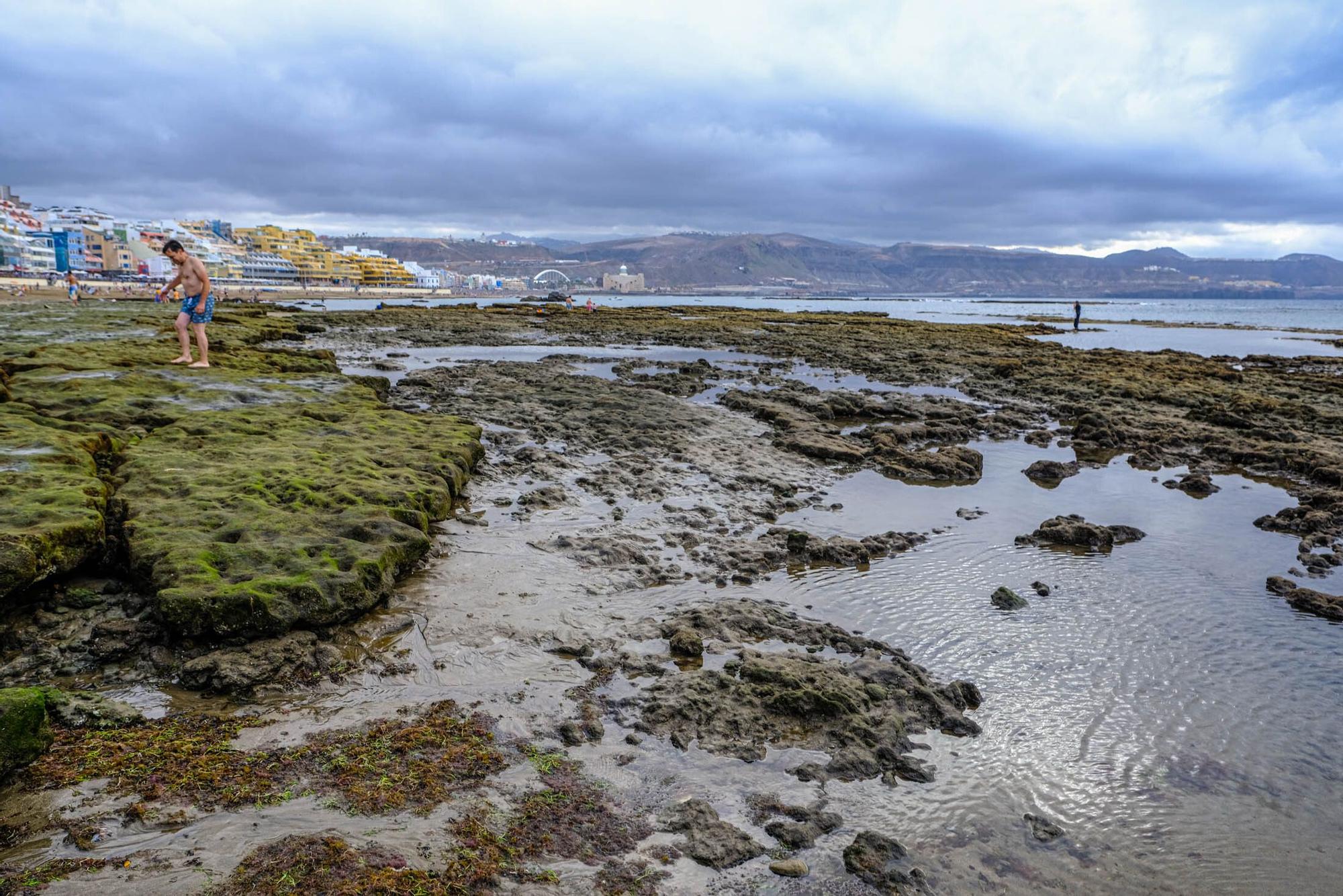 Playas fósiles de Las Canteras