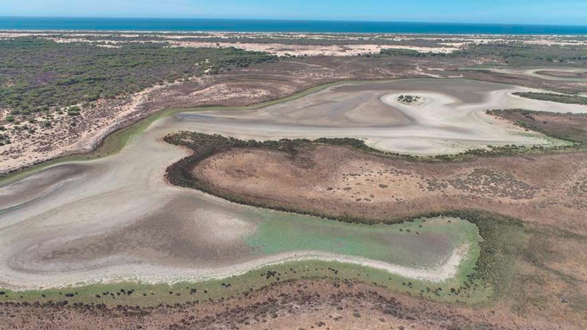 Doñana se seca por la sobreexplotación