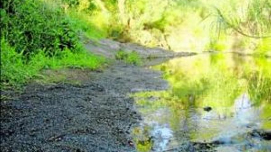 Santa Ana enseña a amas de casa la vegetación del Harnina