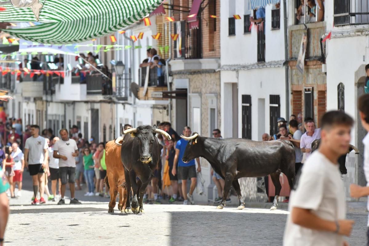 Primer encierro taurino en El Viso