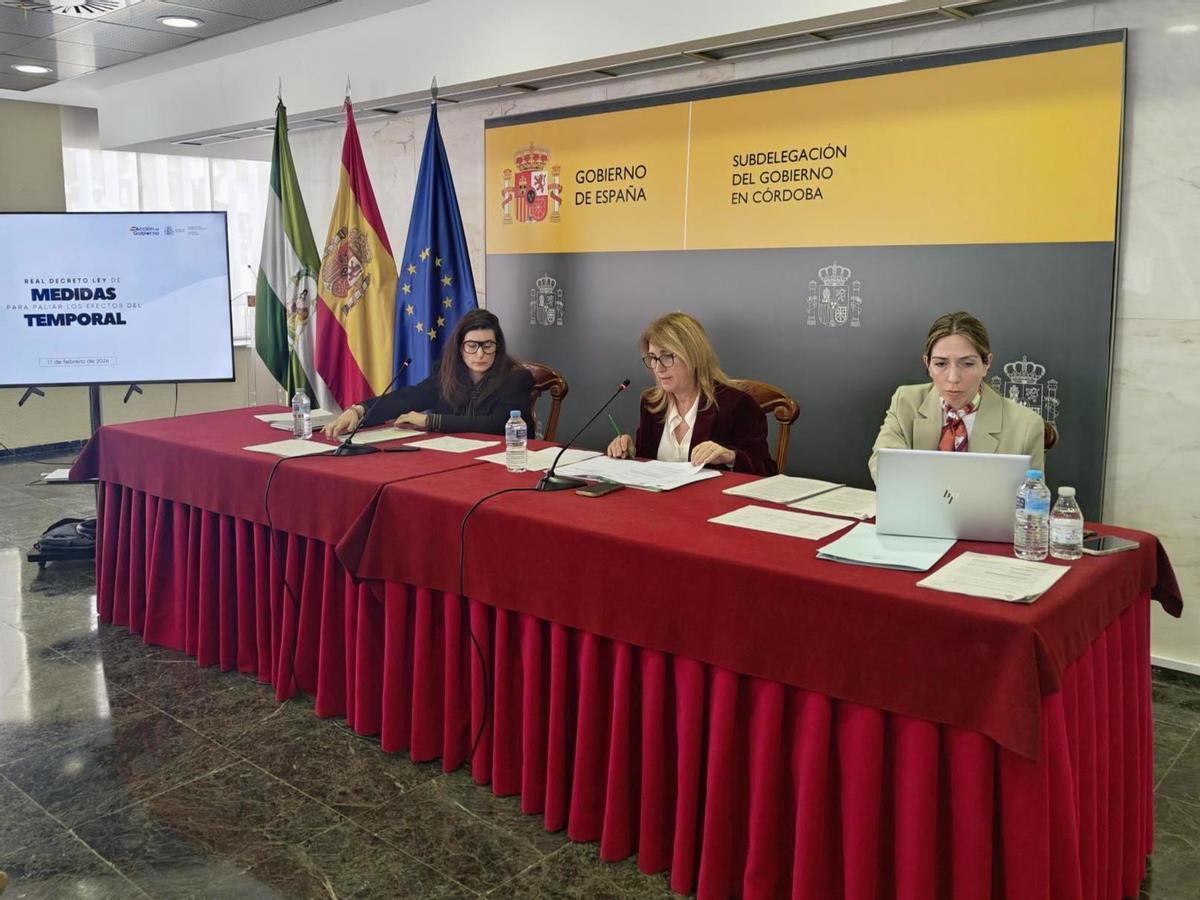 La Subdelegación informa a los alcaldes de la provincia de Córdoba sobre las ayudas específicas por los temporales.