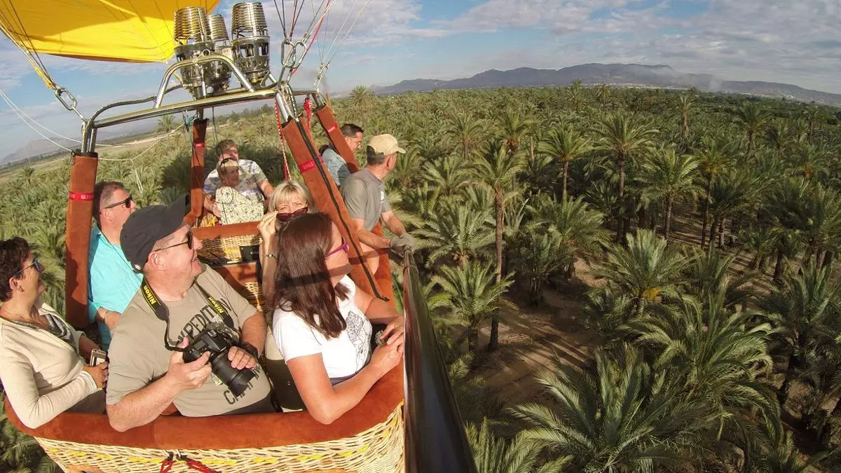 El Palmeral d'Elx, a vista de pájaro