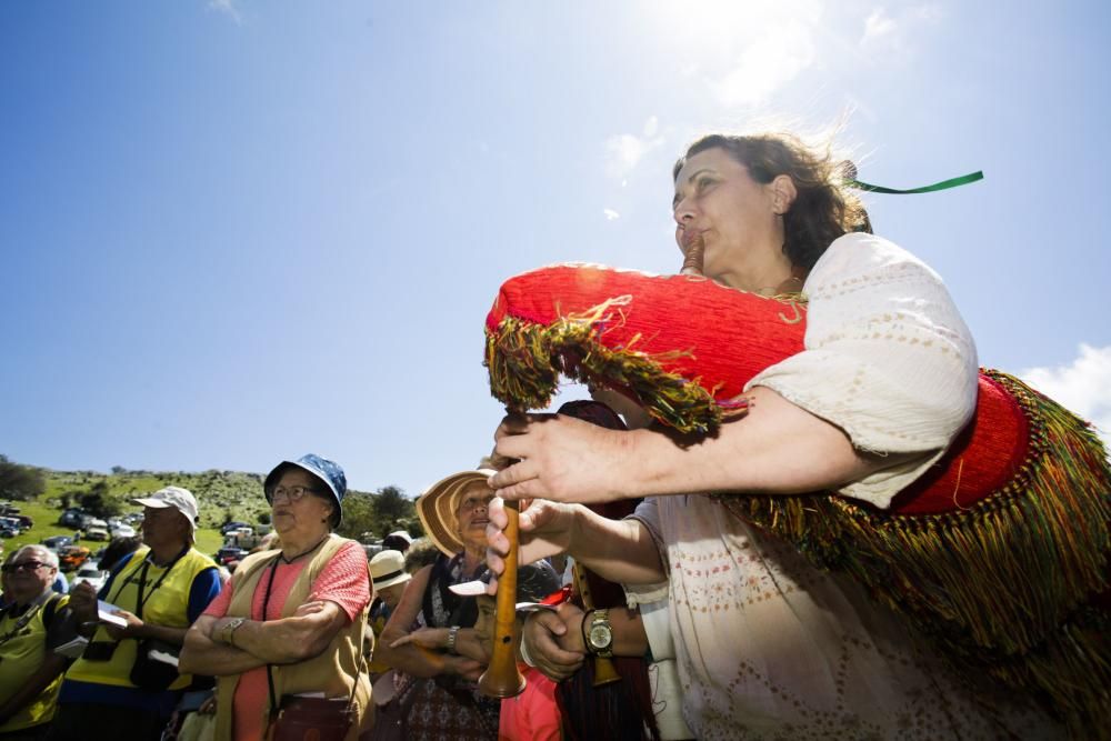 Fiesta del Asturcón en el Sueve