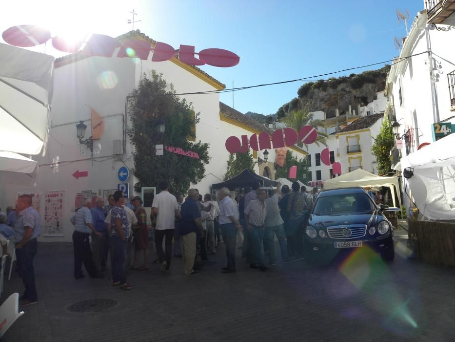 Las calles de Ojén, preparadas para el inicio de los conciertos