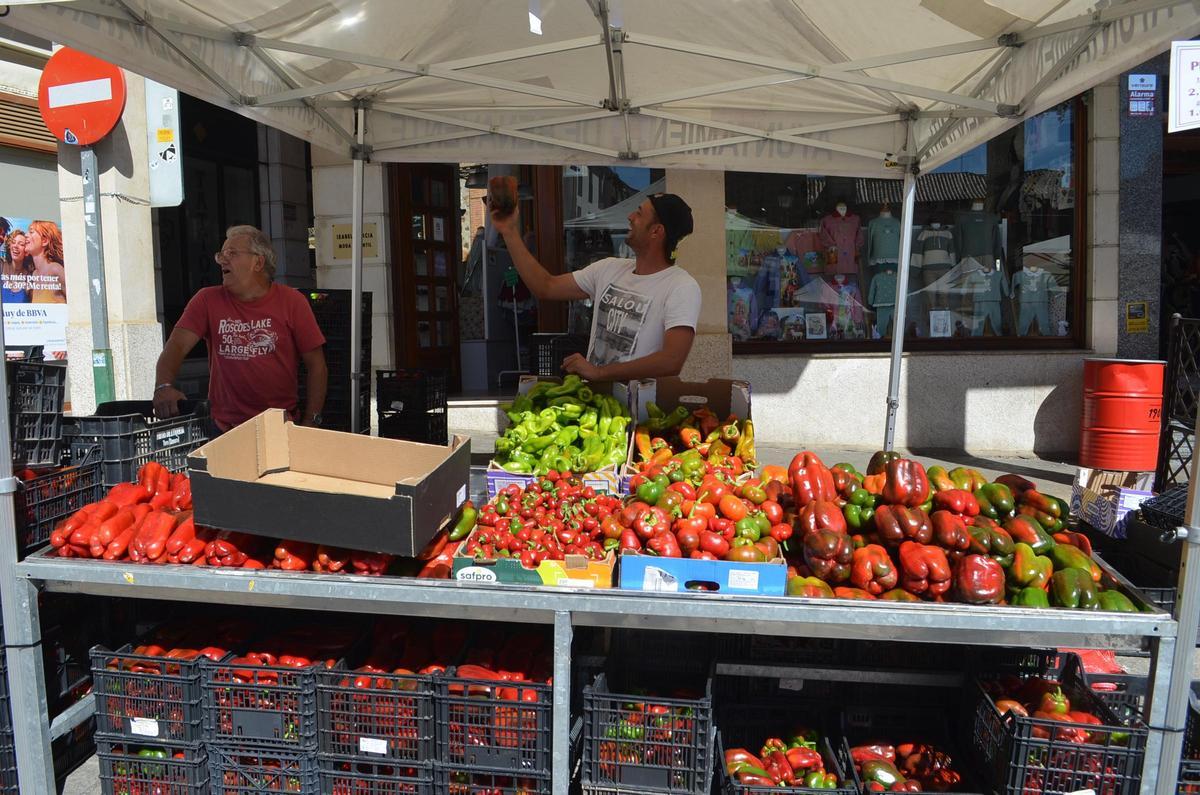 Ferias del Pimiento de Benavente 2026, en imágenes