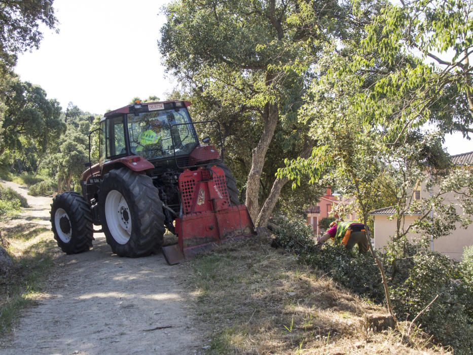 Treballs obertura franja forestal La Jonquera