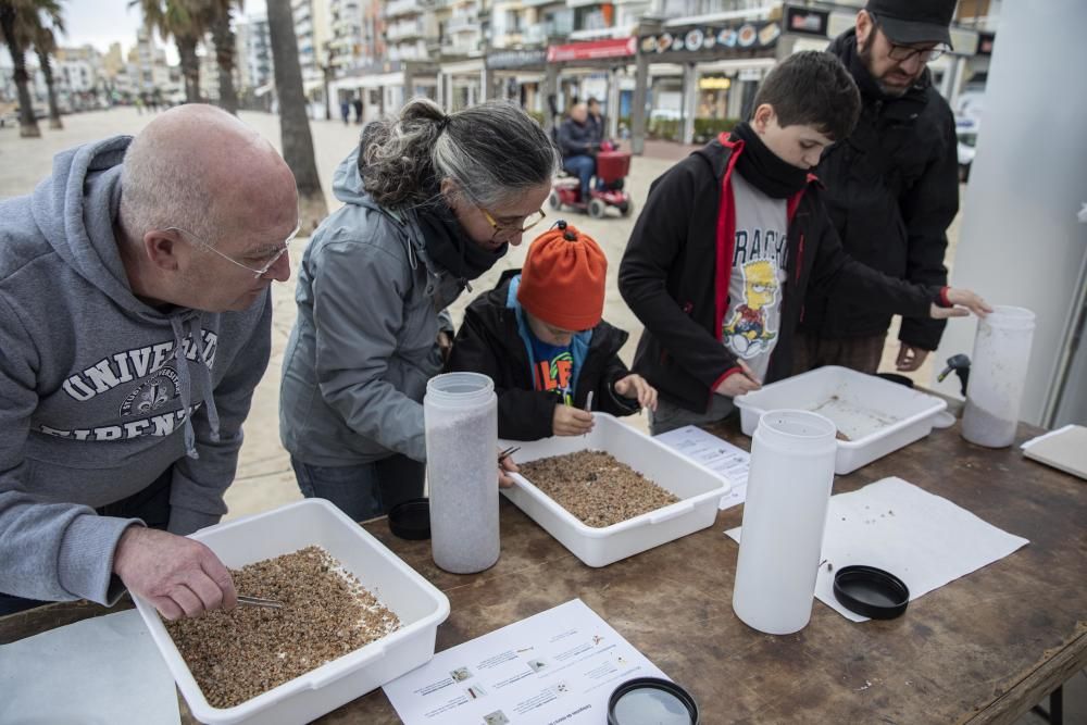 Jornada de mostreig i conscienciació contra els micro i mesoplàstics a Blanes