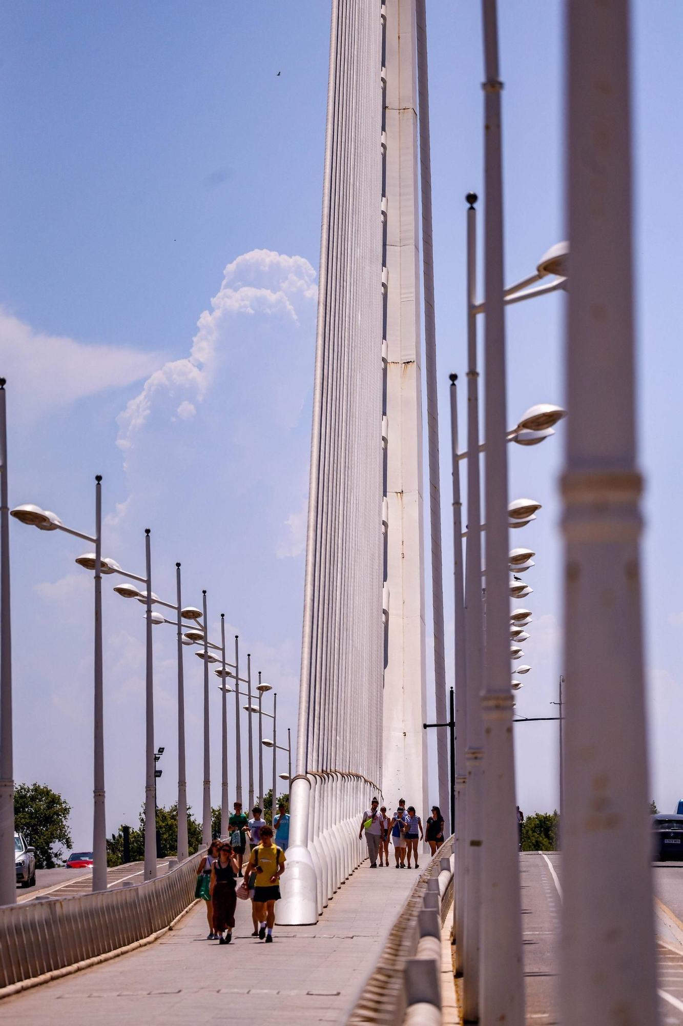 A reparación el puente atirantado de l'Assut de l'Or