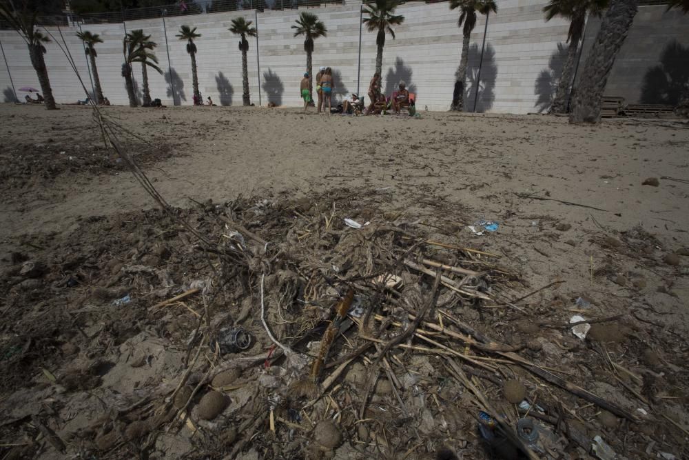 Suciedad en la playa de la Albufereta tras la riada