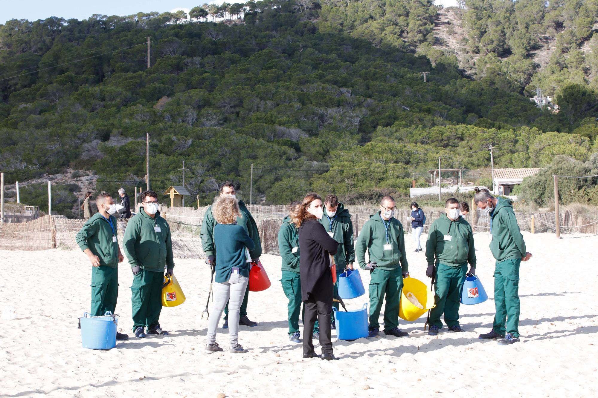 Limpieza de la playa de es Cavallet