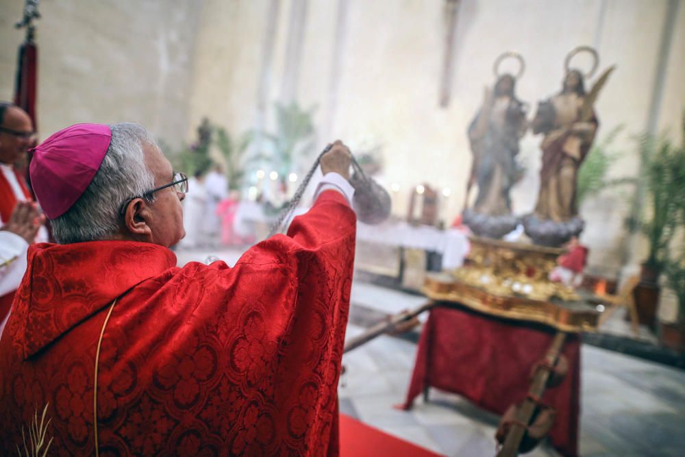 Pájaro Oriol en Orihuela