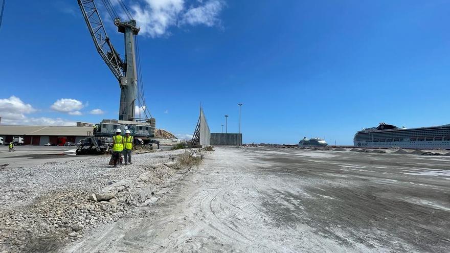 El Puerto de Alicante retira del muelle 11 las pantallas antipolvo tras acabar las obras de la terminal cerrada de graneles