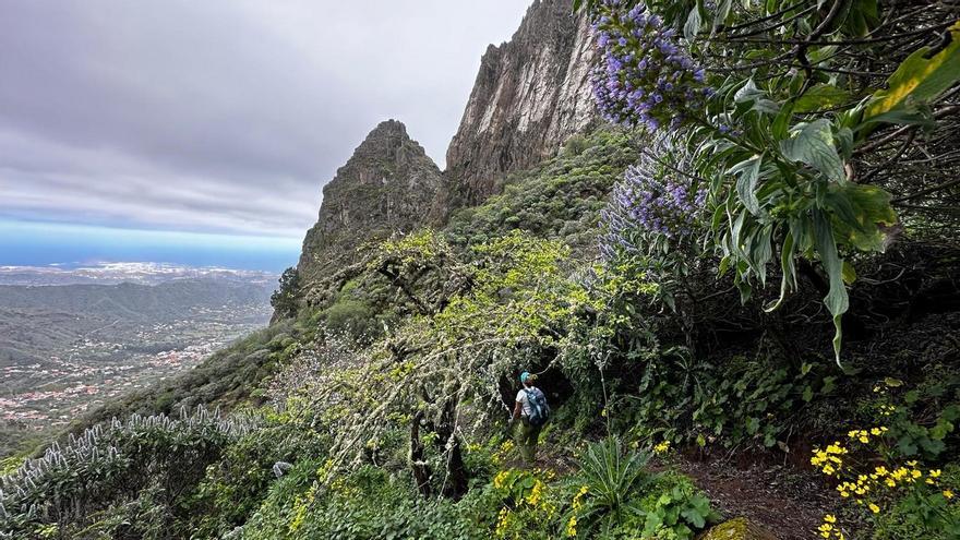 Senderismo en Gran Canaria: una ruta circular por Valsequillo para cerrar la Semana Santa