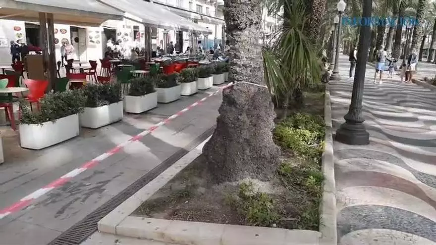 Los operarios cierran la Explanada de Alicante por peligro ante el temporal mientras algunos viandantes se saltan el perímetro de seguridad
