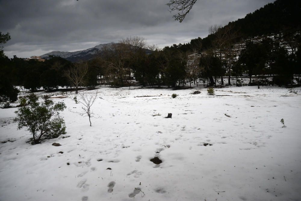 Los mallorquines salen a jugar con la nieve