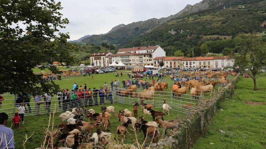 La feria de ganado de San Cipriano, el año pasado.