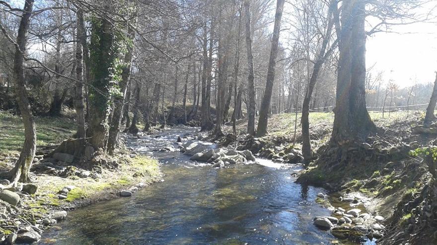 Mejora del cauce en Trefacio