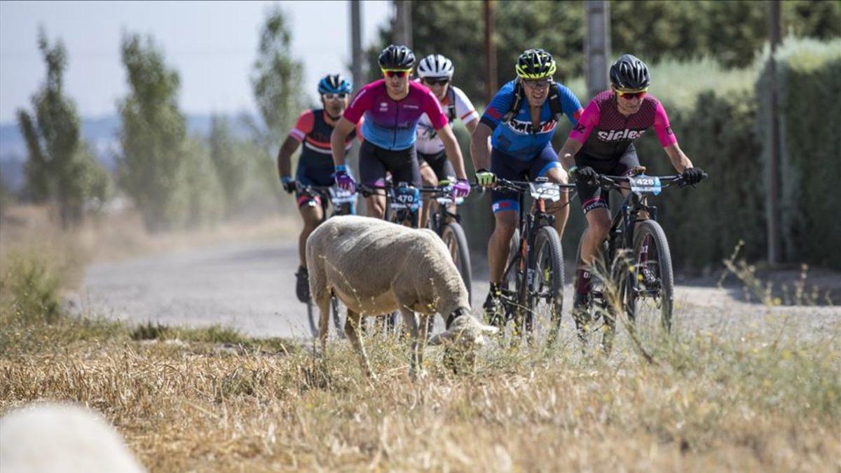 770 kms del recorrido que separan Las Rozas (Madrid) de Alenquer (Lisboa)