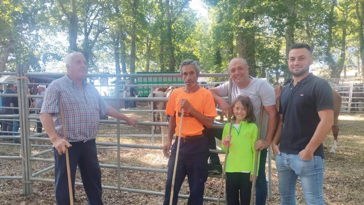 La feria de San Pedro de Mallecina, en Salas, a medio gas por la prohibición de reses bovinas en citas ganaderas: "Está vacío por completo"
