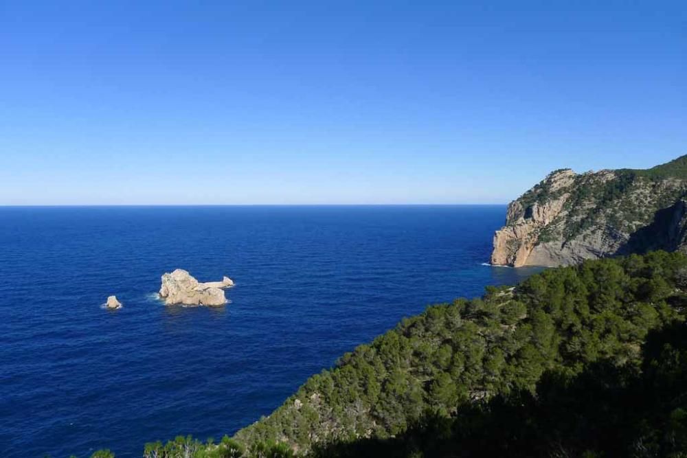 Corona y los almendros huérfanos