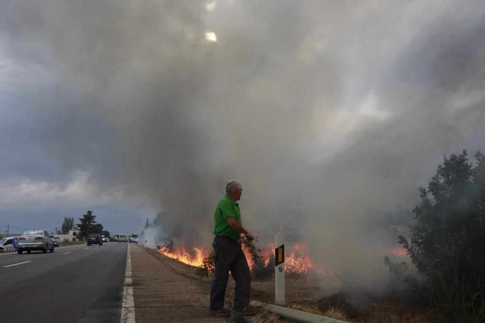 El incendio en el polígono industrial Campo de aviación de Coreses, en imágenes