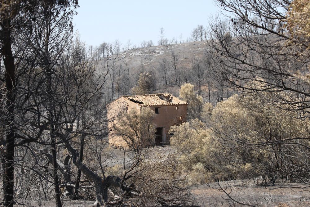 Incendi de Ribera d'Ebre