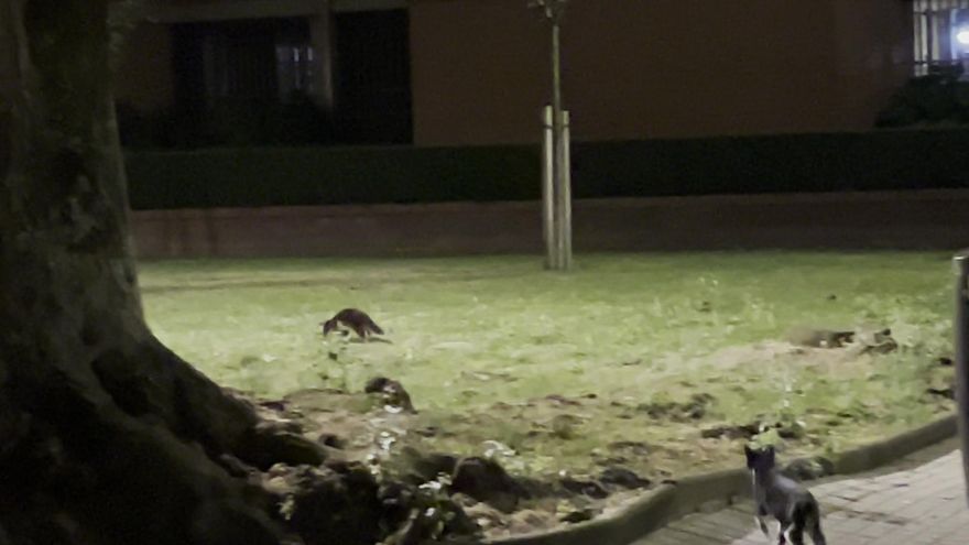 El miedo se apodera de los vecinos afectados por el incendio de Tarragona: "Creía que no iba a salir de ahí"