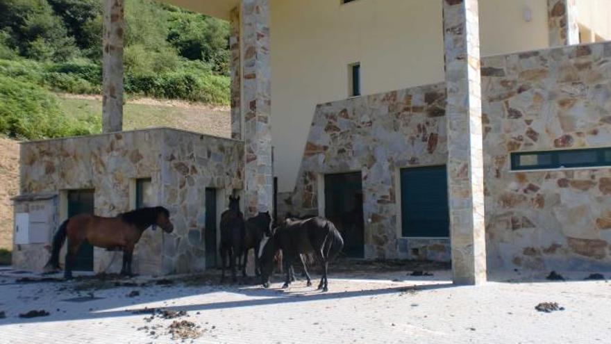 El hotel del Angliru sigue cerrado seis años después de iniciarse su construcción  La terraza del alojamiento, como una cuadra