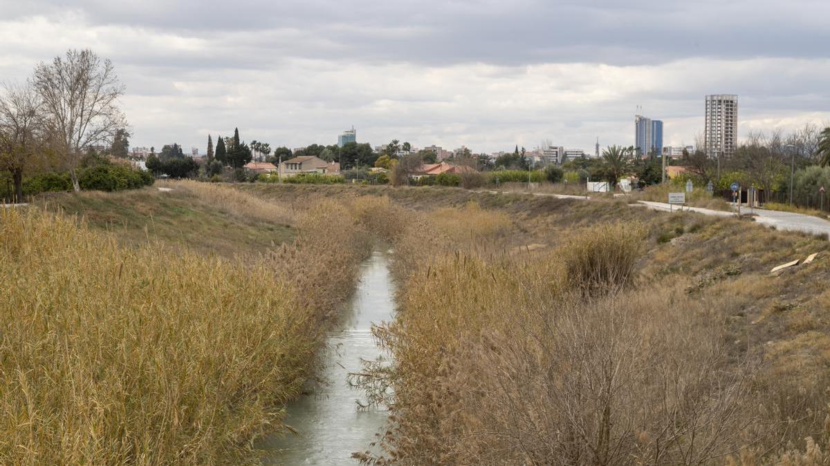 El río Segura, tras su paso por Murcia, camino de su encuentro con el Reguerón.