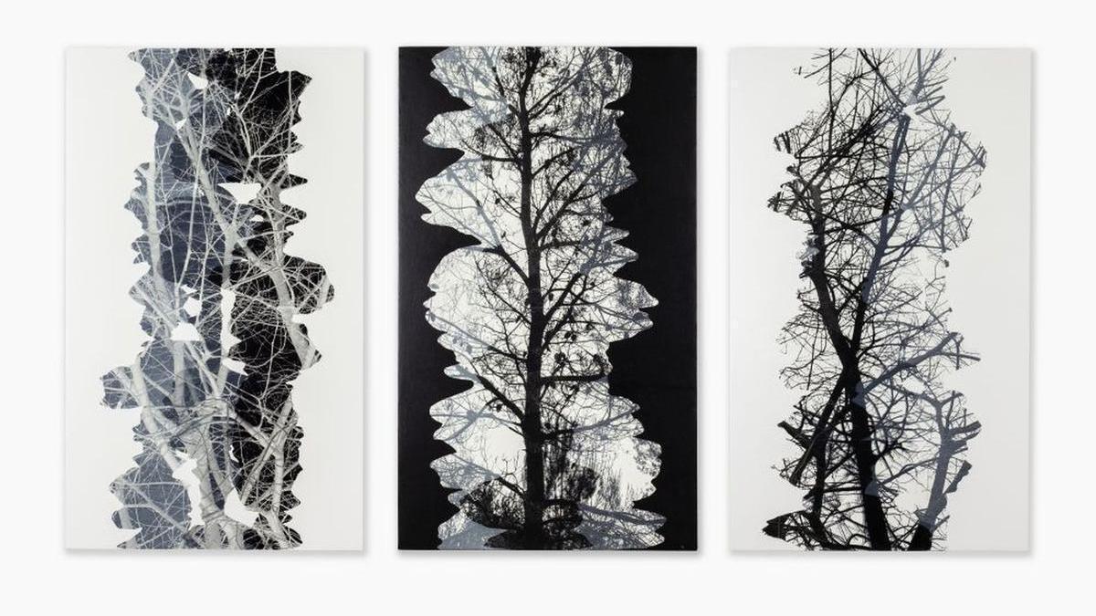 'Estados de paisaje', una de las series de Agustín Serisuelo que se van a exhibir en Sitges este verano.
