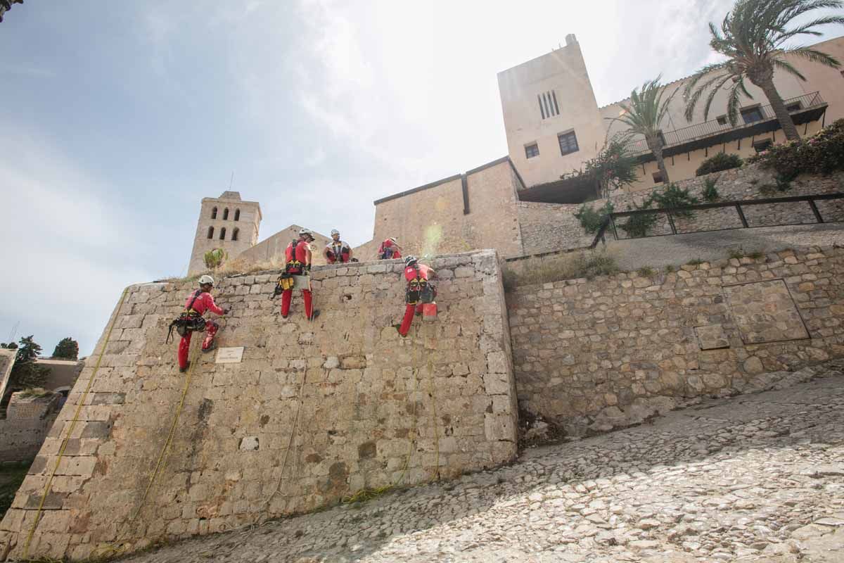 Arrancan los trabajos de limpieza de las murallas renacentistas de Ibiza