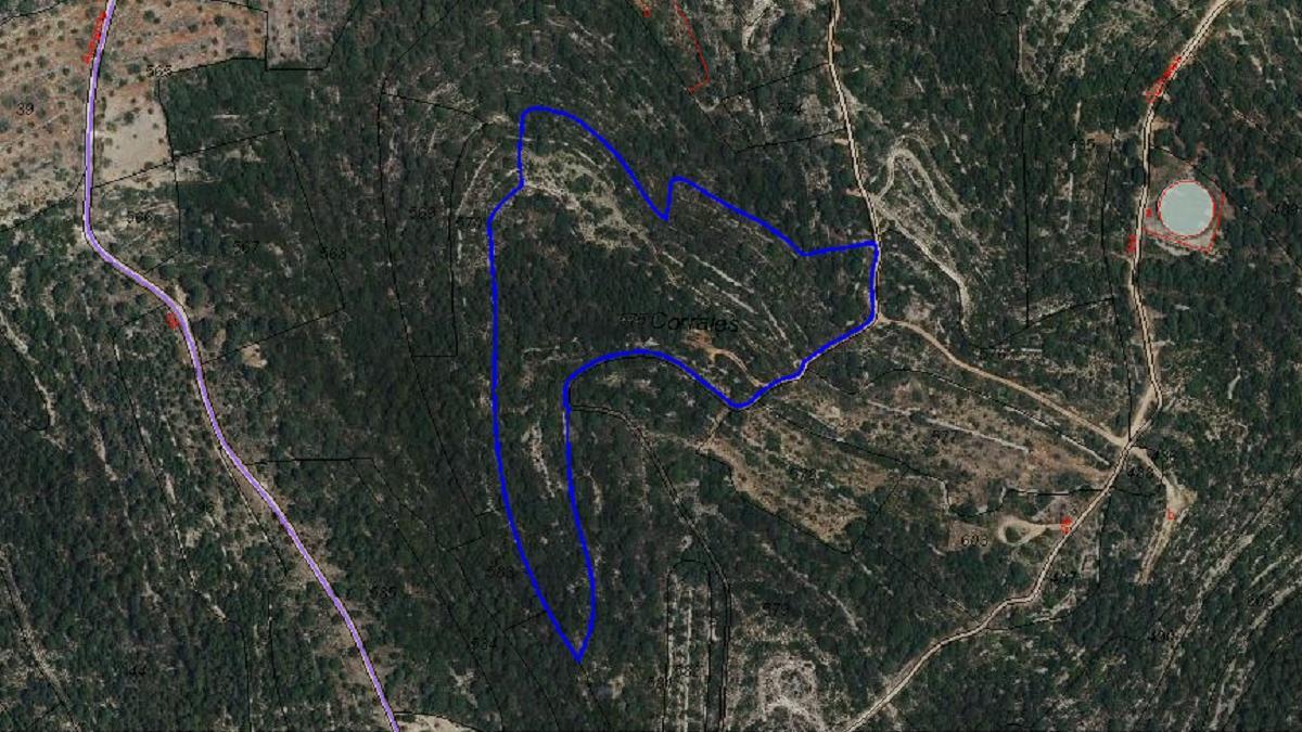 La finca más grande de la subasta se sitúa en Bolbaite y está dominada por los pinos carrascos.
