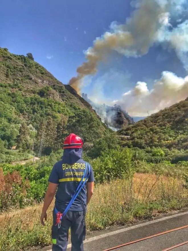 Incendio Forestal en Gran Canaria 20/08/2019