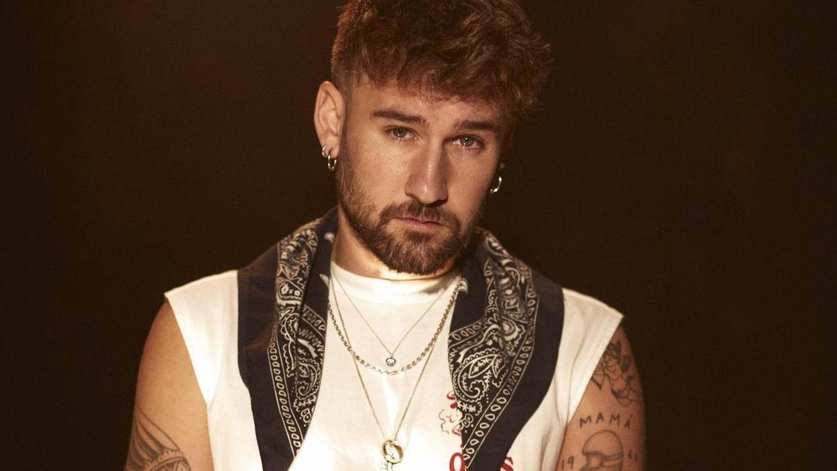 El artista Dani Fernández