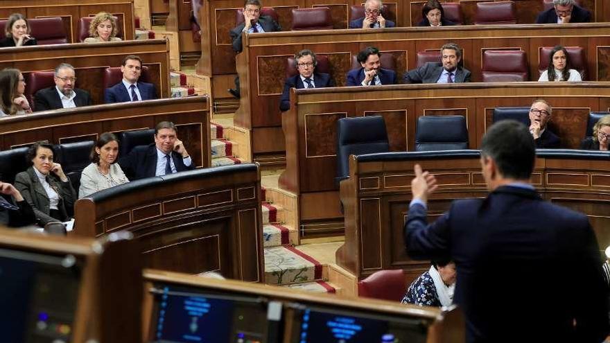 Pedro Sánchez, de espaldas, se dirige a Albert Rivera durante el pleno del Congreso de ayer. // Efe