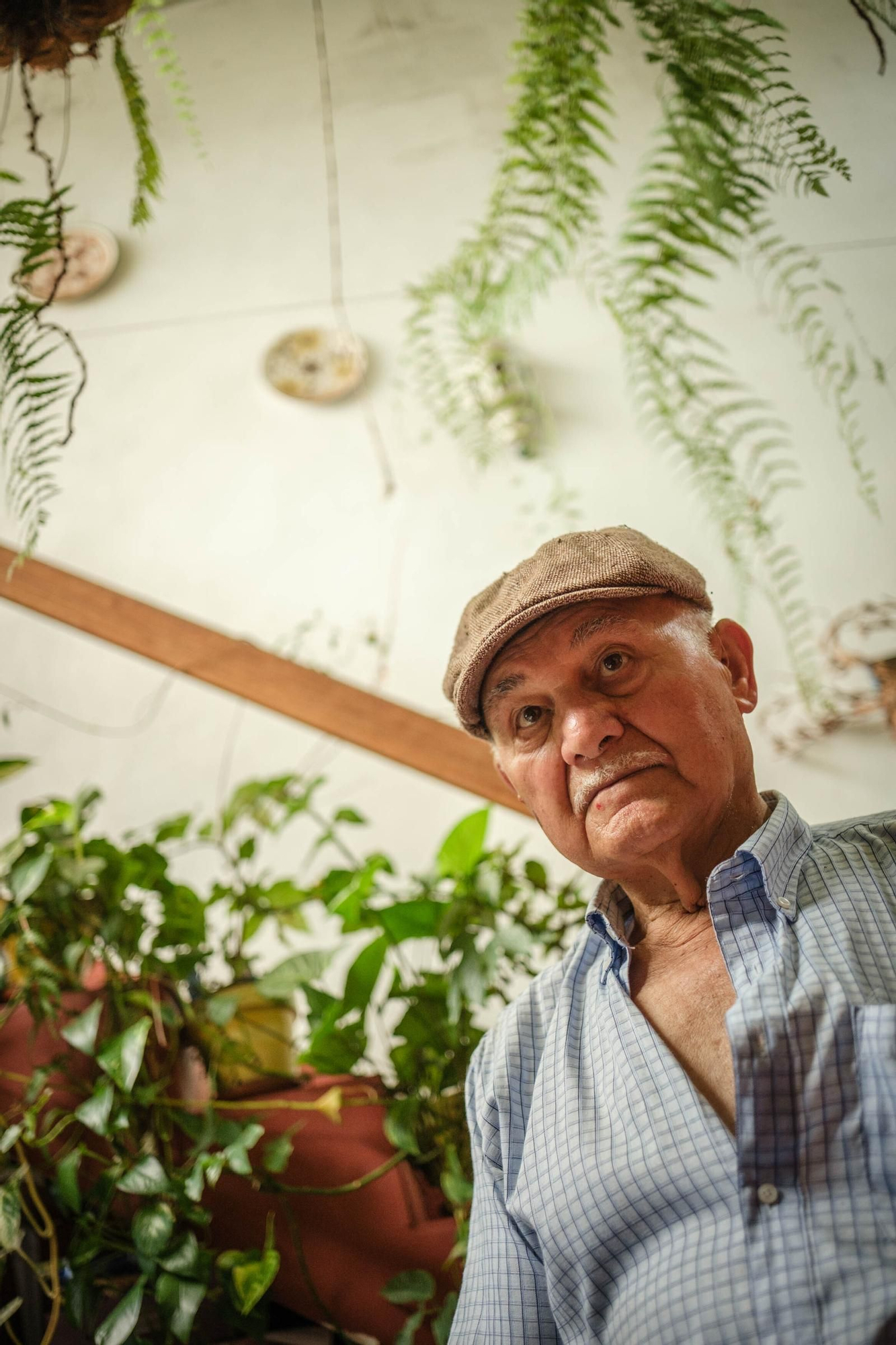 Francisco Rodríguez Herrera, the patriarch of the plumbers of the mountain in Tenerife