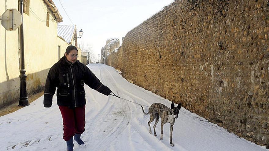Una joven pasea con su perro por las calles de Mansilla de las Mulas (León), tras la nevada de ayer.