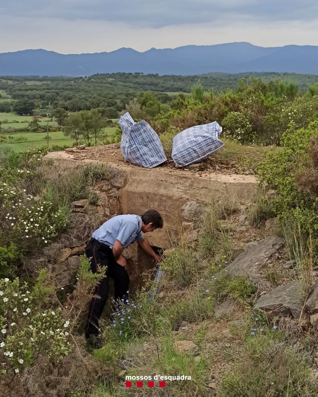 Descobreixen prop de 37 quilos de marihuana oculta en tres búnquers de Masarac