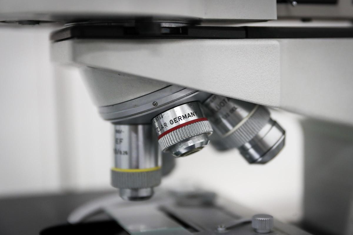 Los estrógenos disminuyen la capacidad del sistema inmunitario para combatir el cáncer