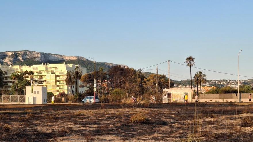 Duna calcinada y paisaje de ceniza: el estrago del incendio de Dénia junto a la playa del Raset