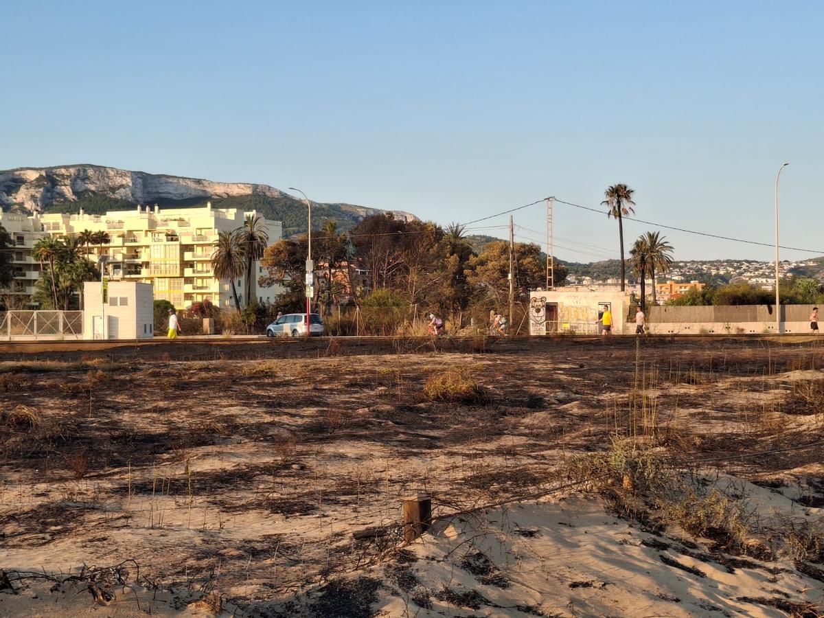 Un tramo de duna calcinado y escombros, abandono y cenizas: el estrago del incendio de Dénia junto a la playa del Raset