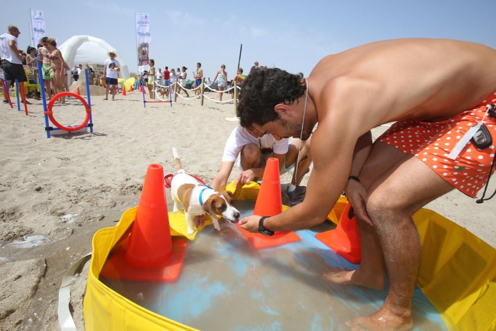 Mascotas de carne y hueso en la playa de Agua Amar