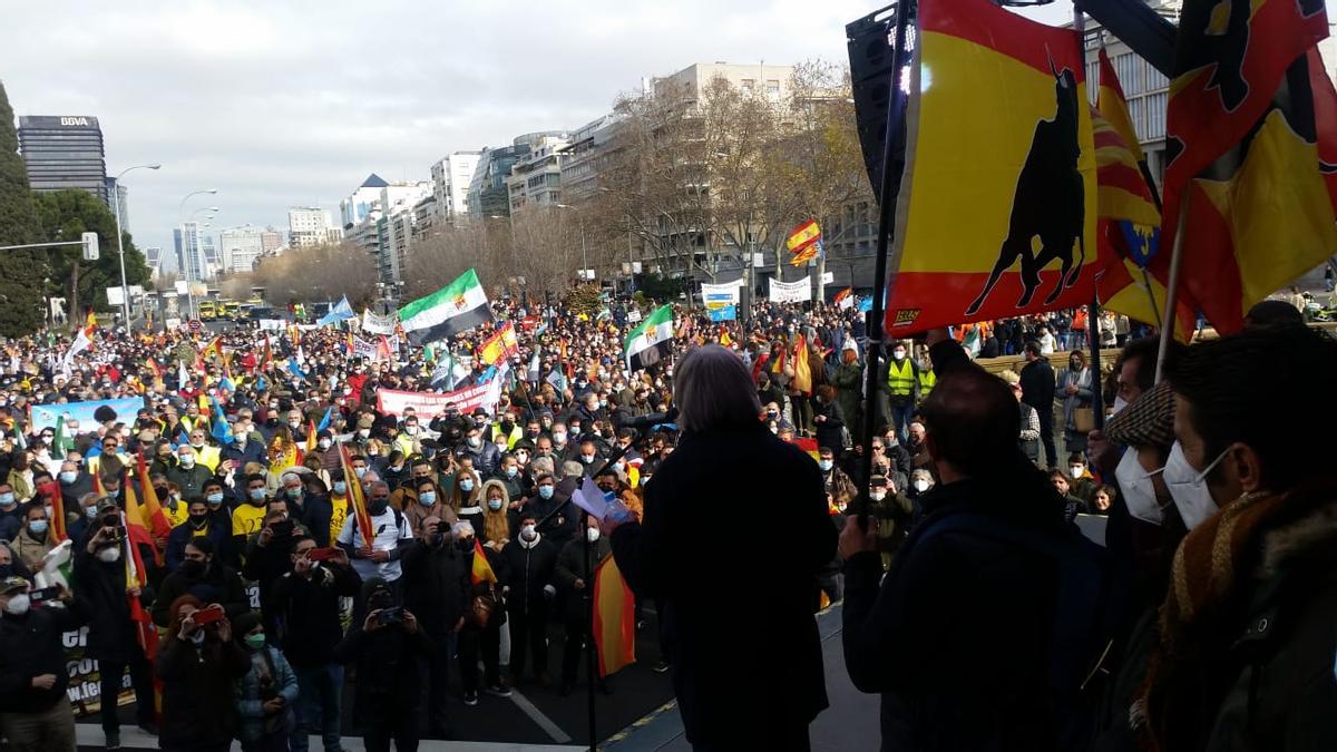 Los zamoranos durante un momento de la manifestación de Madrid.