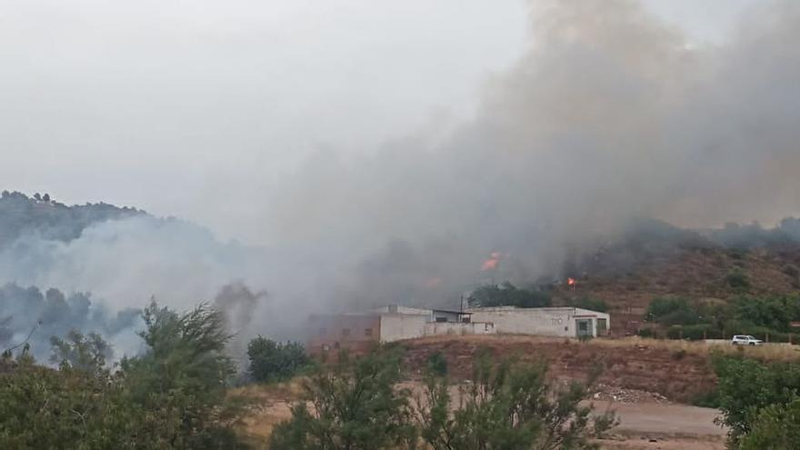 Declaran un incendio en una zona de cultivo abandonado en La Vall d&#039;Uixó