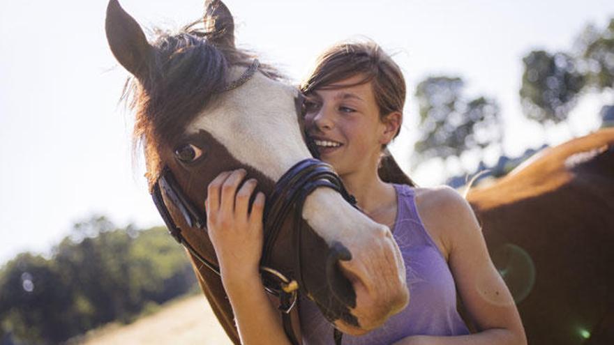 Los caballos reconocen diferentes expresiones faciales.