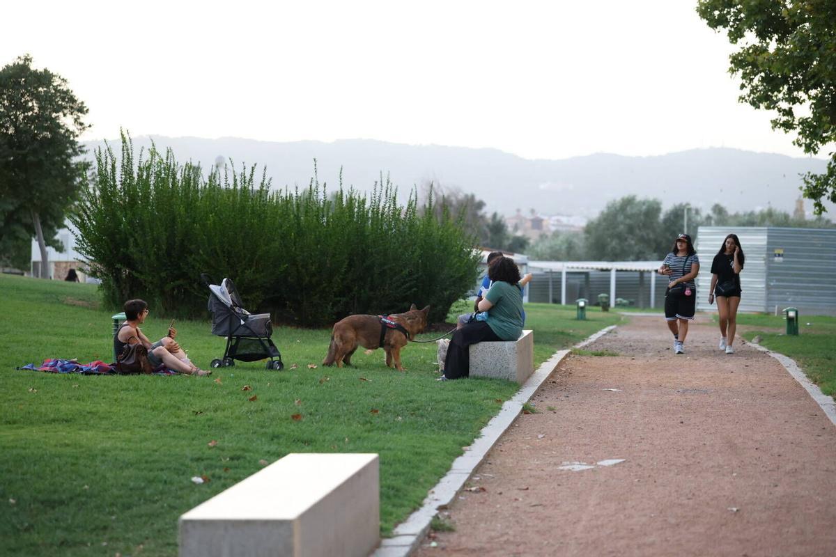 Tardes al fresco en Córdoba, el plan estrella del verano para disfrutar en familia