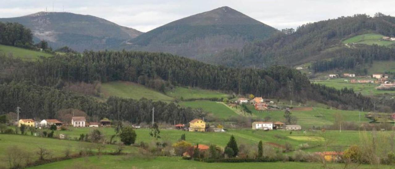 El triunvirato ganadero de Les Regueres